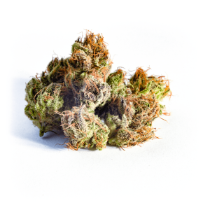 BLACKBARRY CAKE – Relash Lab